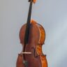 230