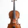Viola nello stile di Pellegrino De Micheli